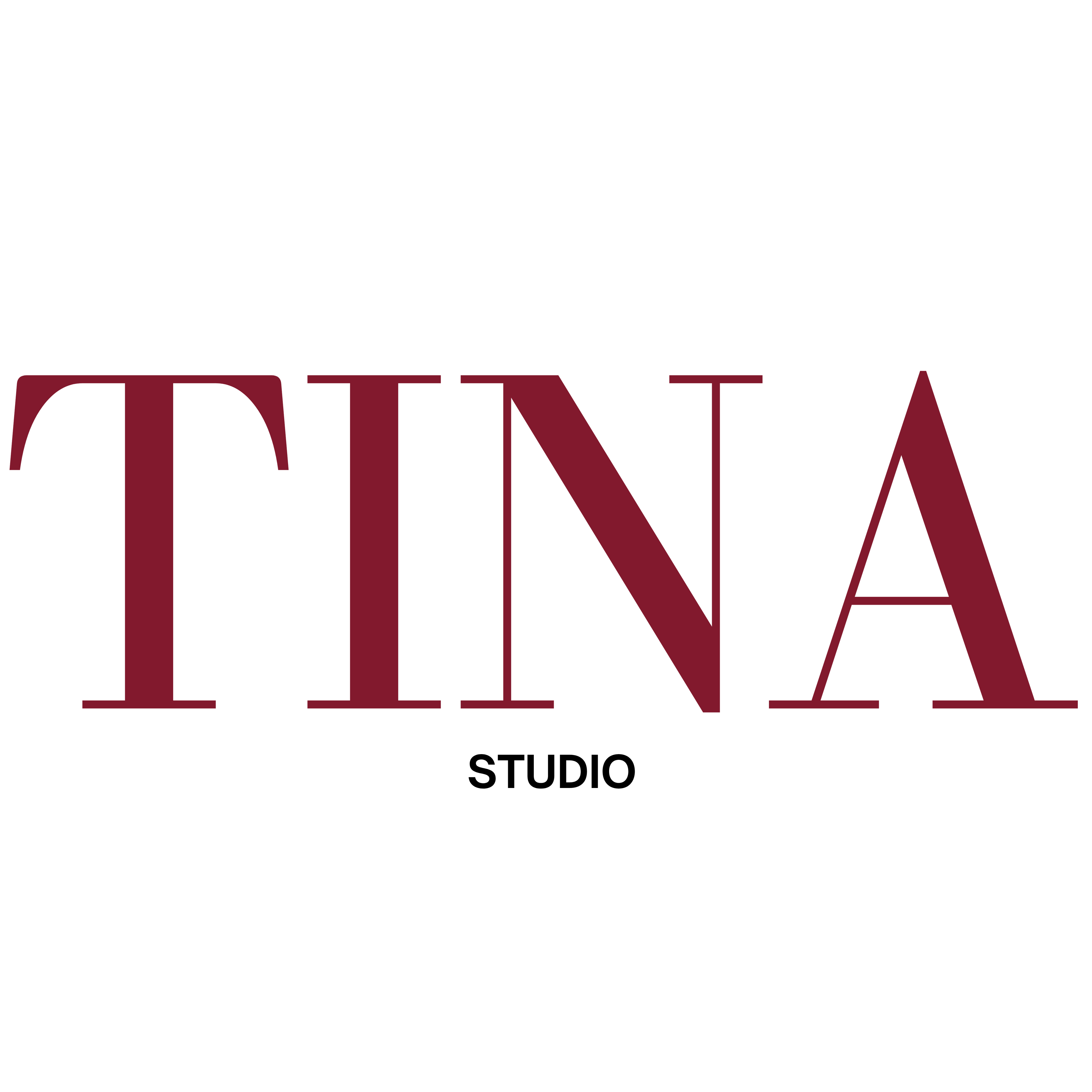 TINA studio